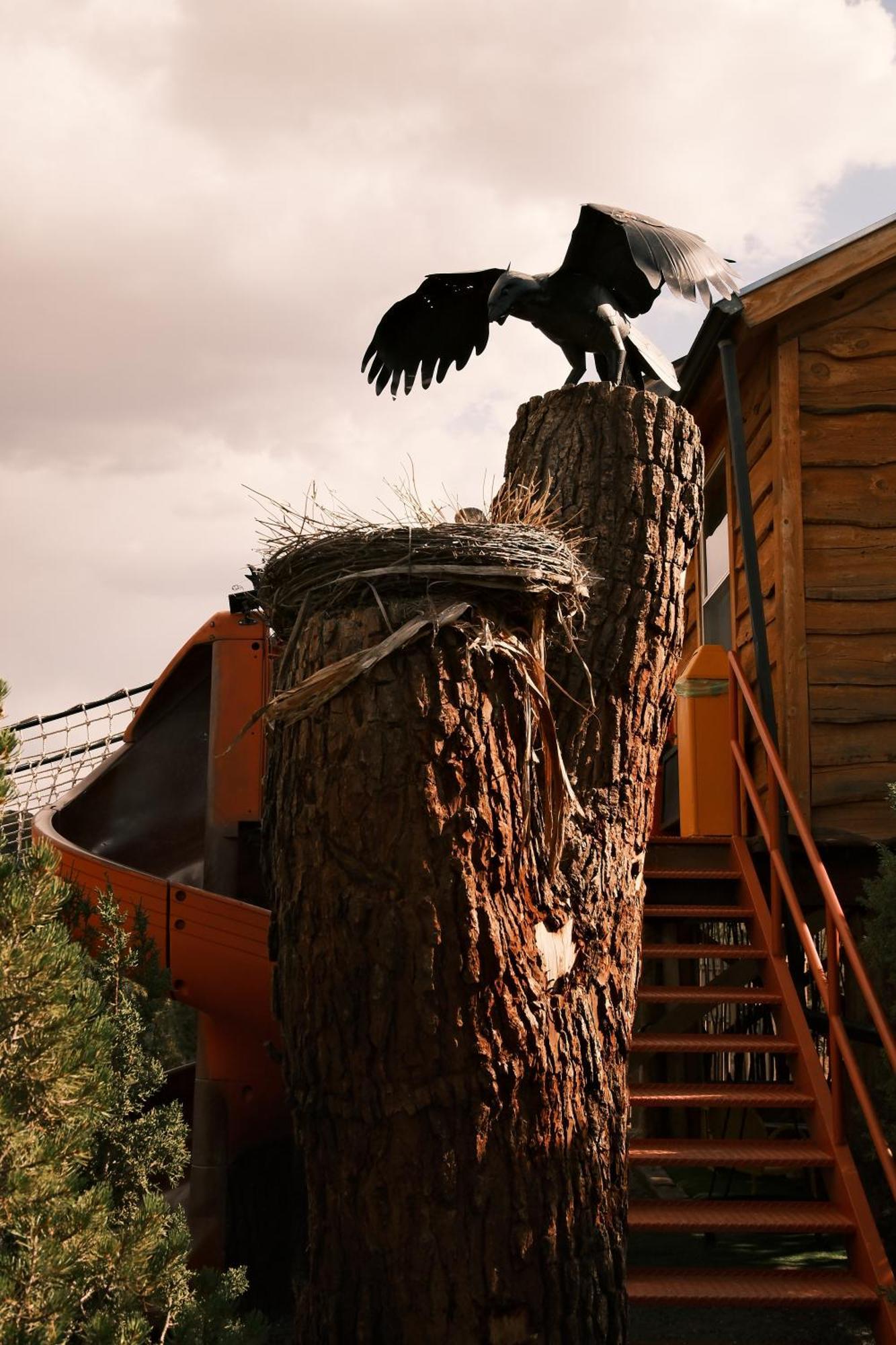 Вилла Crows Nest Treehouse At El Mstico Ranch Nogal Экстерьер фото