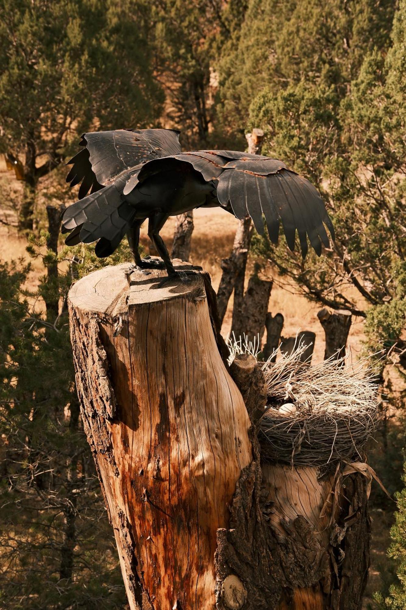 Вилла Crows Nest Treehouse At El Mstico Ranch Nogal Экстерьер фото