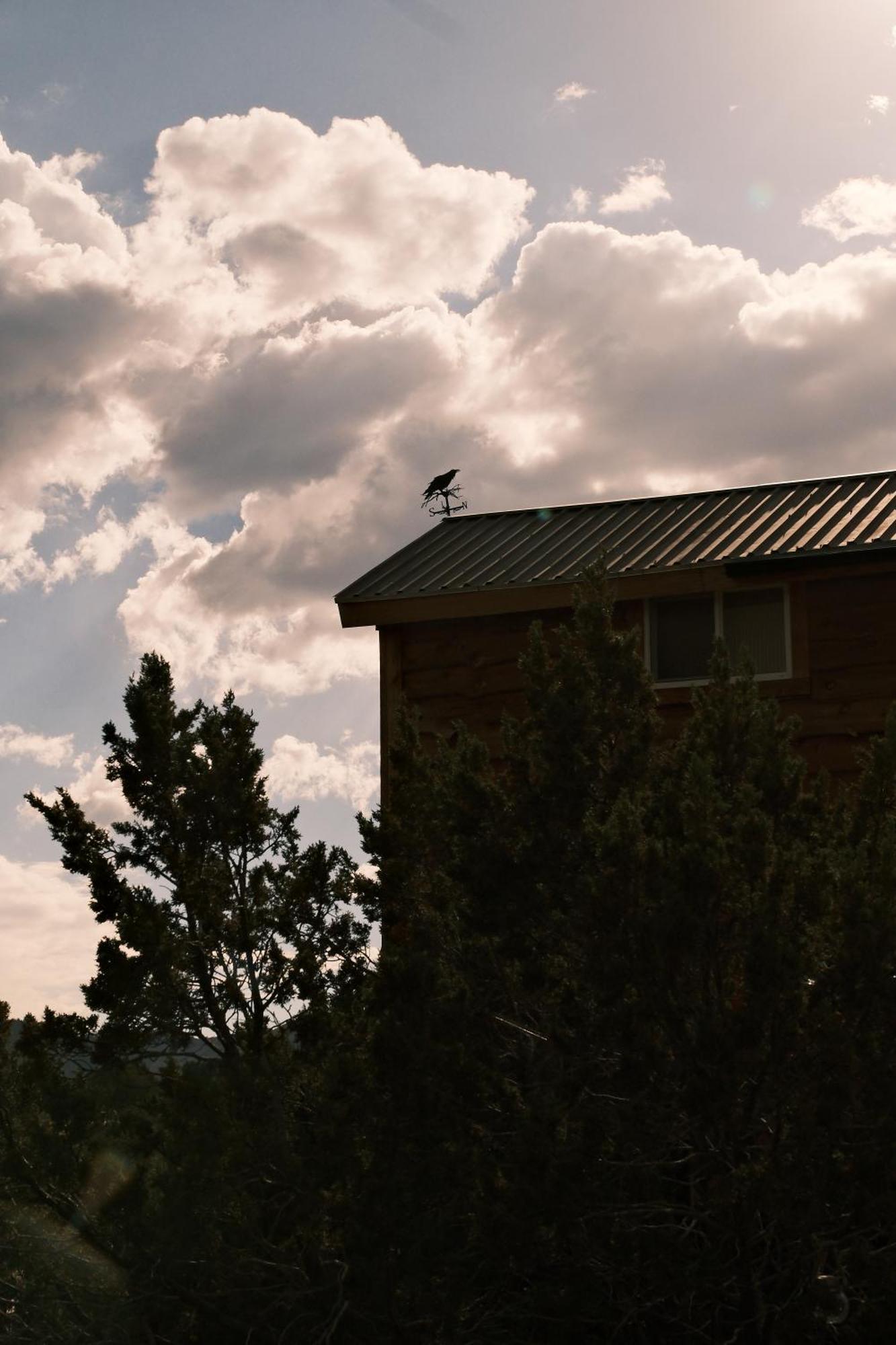 Вилла Crows Nest Treehouse At El Mstico Ranch Nogal Экстерьер фото